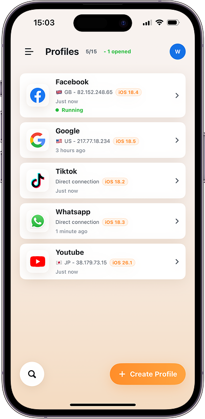 BrowseX profiles shown on an iPhone